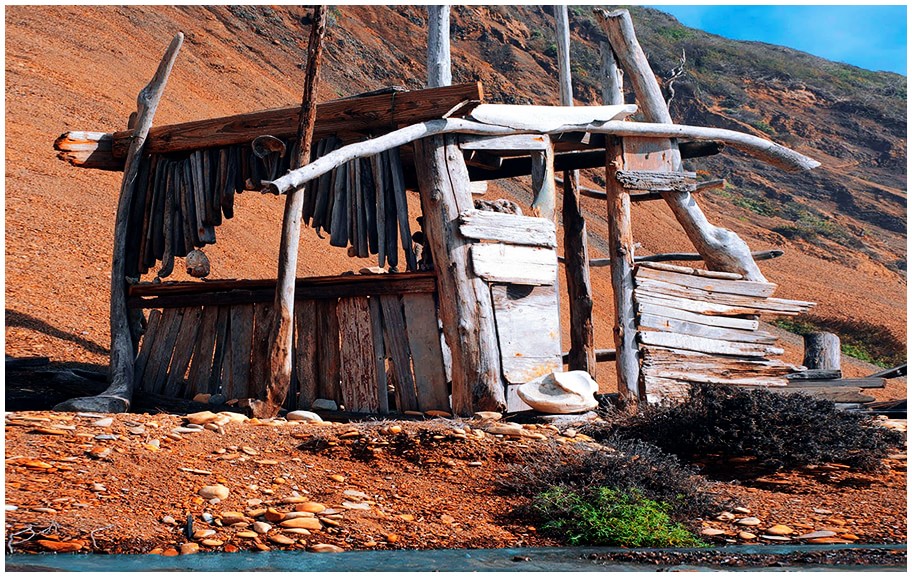 A Driftwood Cabin