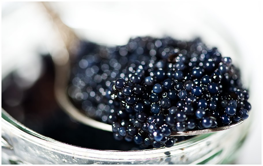 a kilogram of Russian Sevruga Caviar