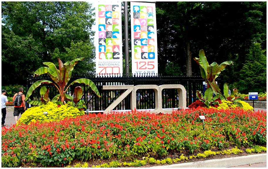 The Smithsonian National Zoo