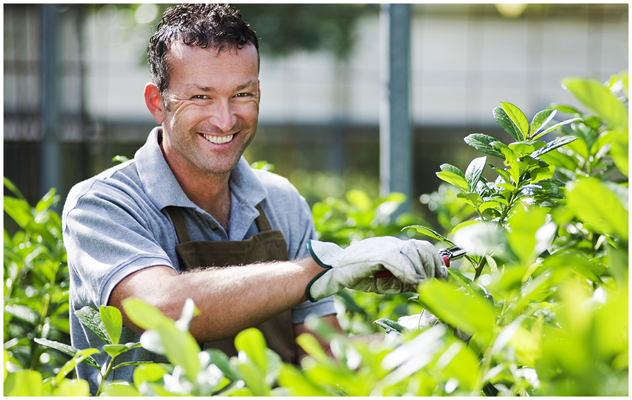 a gardener